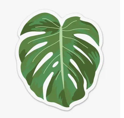 Monstera Leaf Sticker