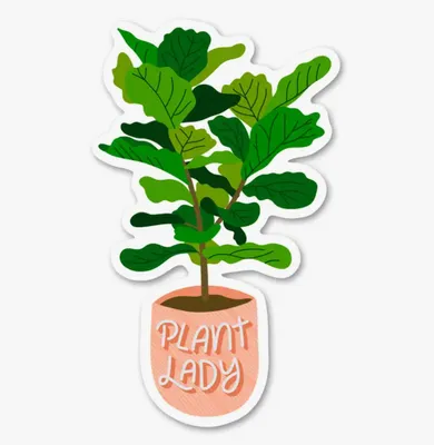 Fiddle Leaf Fig Plant Lady Stickers