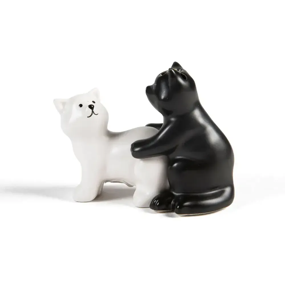 Naughty Cat Salt and Pepper Shaker