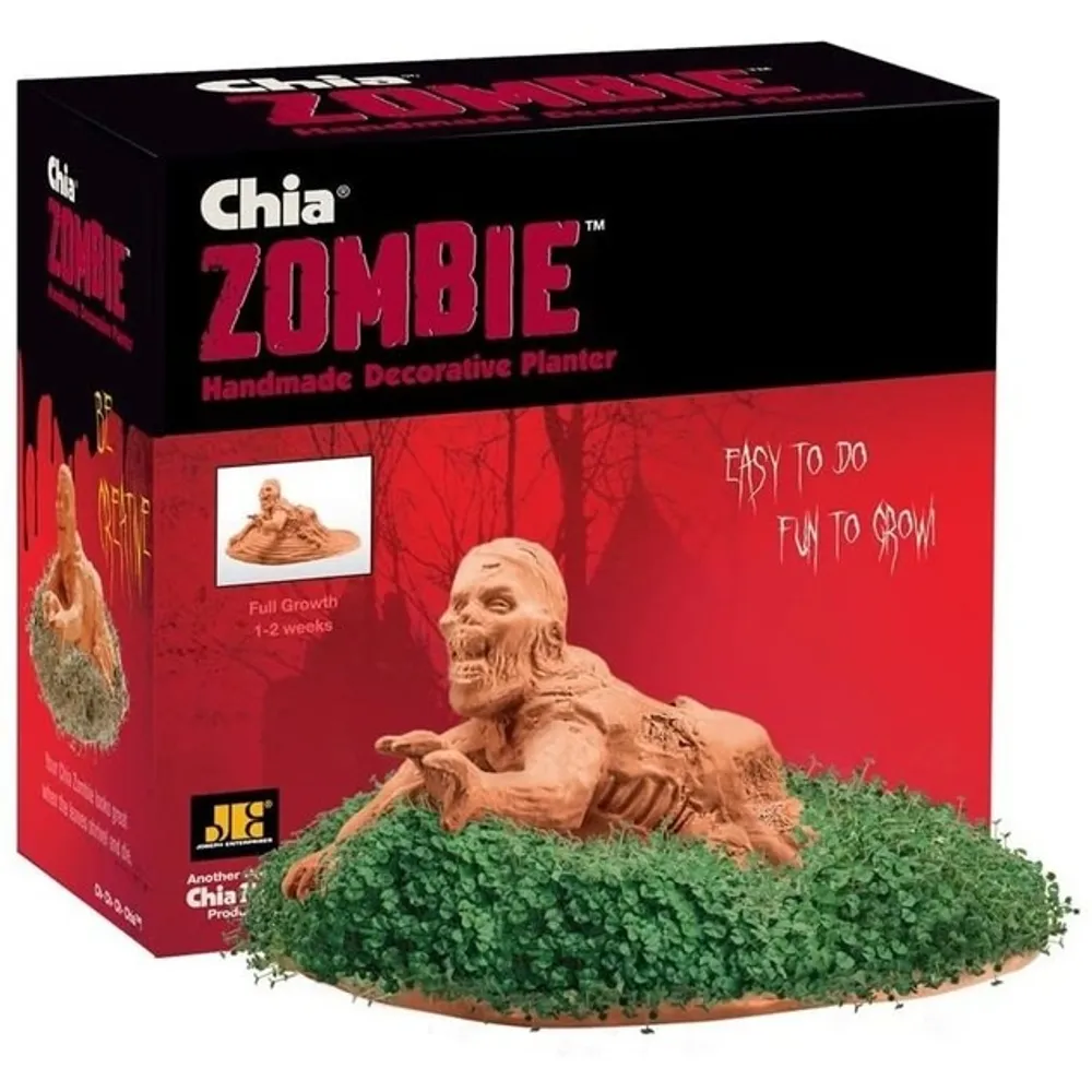 Chia Zombie- Dragging Drew