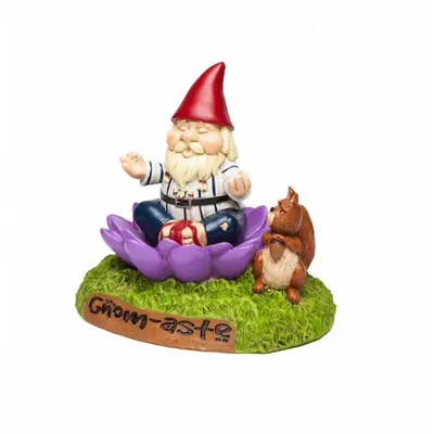 Gnome-aste Meditation Gnome