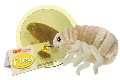 Flea Plush