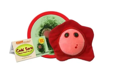 Giant Microbes- Cold Sore