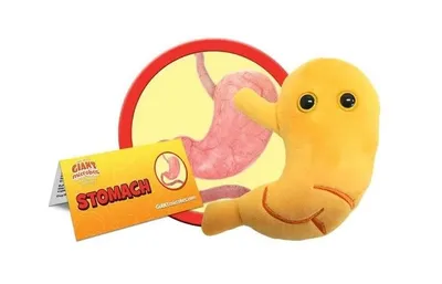 Giant Microbes- Stomach