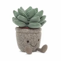 Silly Succulent Azulita