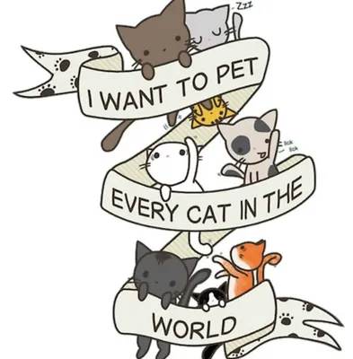 Redbubble I Want To Pet Every Cat In The World Sticker