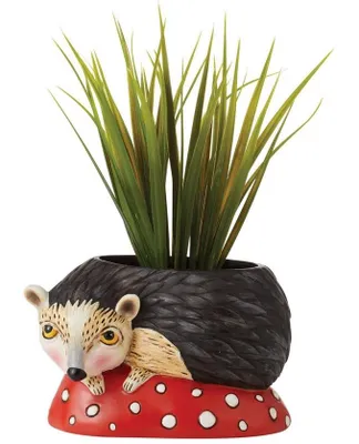 Hank The Hedghog Baby Planter