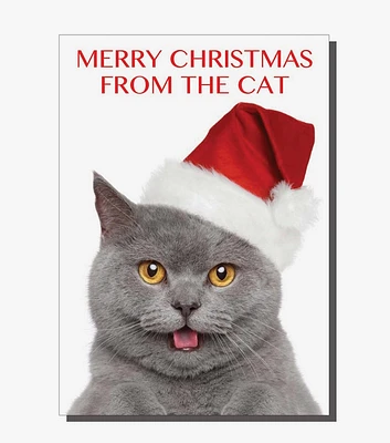 Merry Christmas From The Cat Card