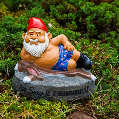 Sexy and I Gnome It - Garden Gnome