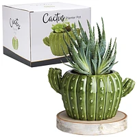 Streamline Cactus Planter