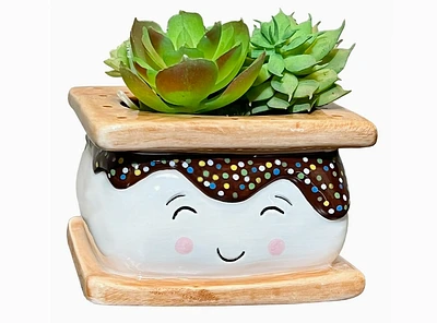 Smores Planter Small