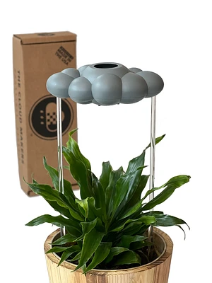 The Cloud Makers Rain Cloud Plant Accessory