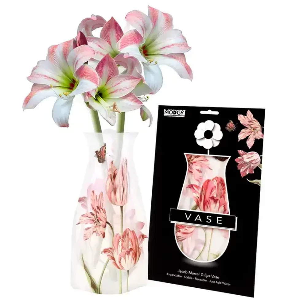 Modgy Expandable Flower Vase