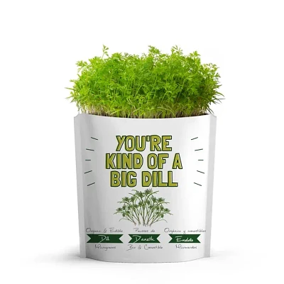 You're Kind of a BIG Dill Greeting Card