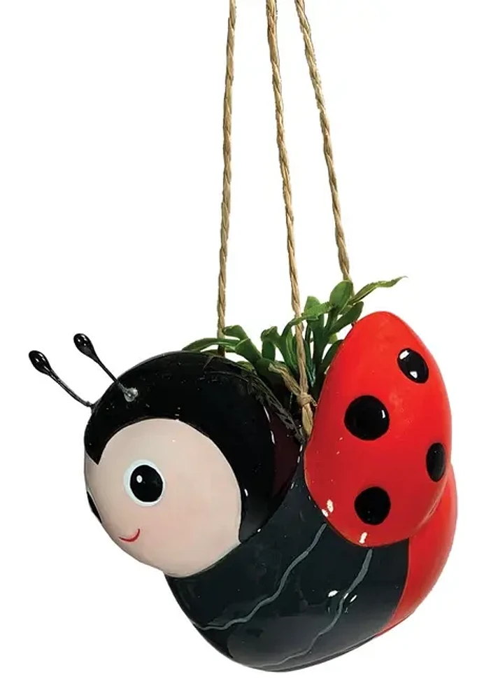 Mini Bee & Ladybug Hanging Planters