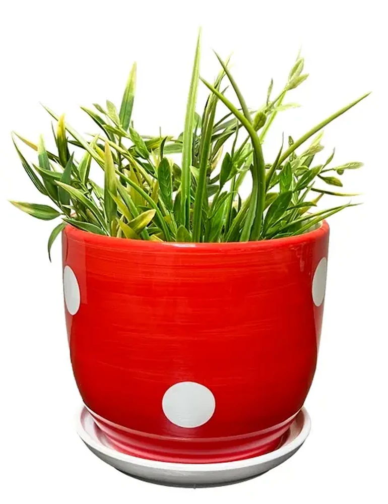 Spotted Mushroom Planter