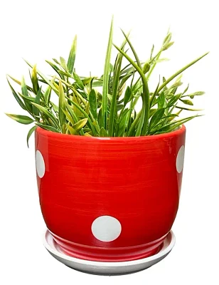 Spotted Mushroom Planter