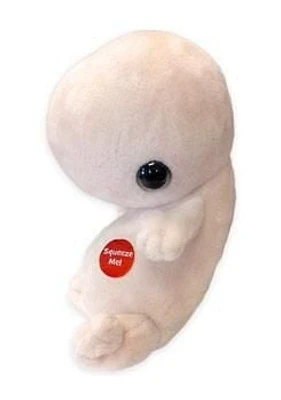 Fetus Plush Toy: The Journey of Life