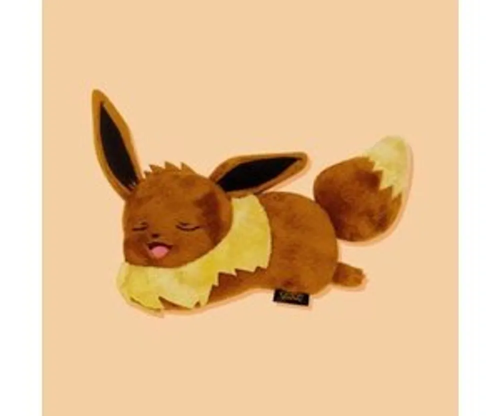 Pokemon Eevee Pouch