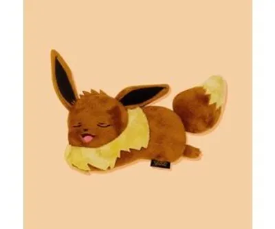 Pokemon Eevee Pouch