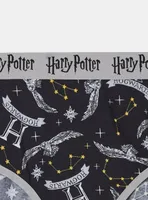 Harry Potter Cotton Mid Rise Hipster Panty