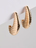 Statement Curve Earring