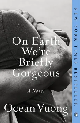 On Earth We're Briefly Gorgeous - A Novel
