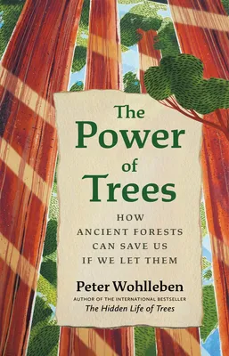The Power of Trees - How Ancient Forests Can Save Us if We Let Them