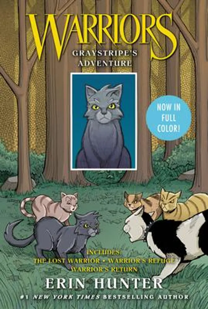 Warriors The Broken Code Lost Stars Book l Official Warrior Cats Store