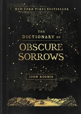 The Dictionary of Obscure Sorrows - 