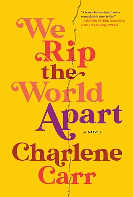 We Rip the World Apart - A Novel