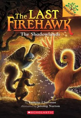 The Shadowlands - A Branches Book (The Last Firehawk #5)