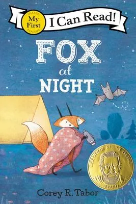 Fox at Night - 