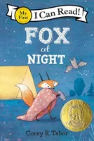 Fox at Night - 