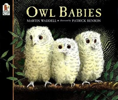 Owl Babies - 