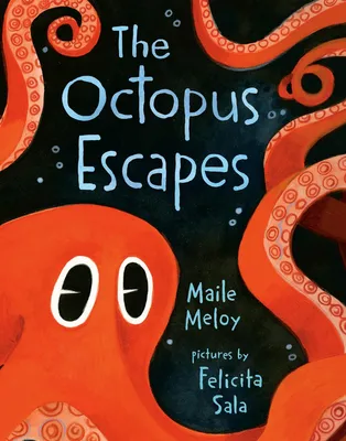 The Octopus Escapes - 