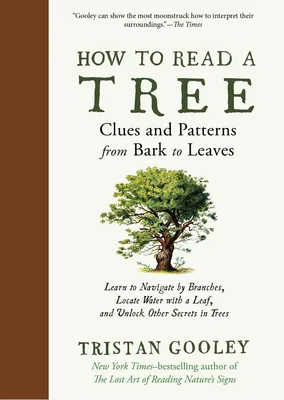 How to Read a Tree - Clues and Patterns from Bark to Leaves