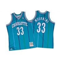 Charlotte Hornets Alonzo Mourning Mitchell & Ness NBA Men's Swingman Jersey