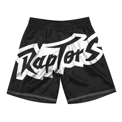 Lids Toronto Raptors Pro Standard Chenille Shorts - Black