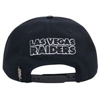 Las Vegas Raiders Pro Standard Black Primary Logo Snapback Hat