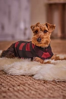 Bera Plaid Dog Sweater