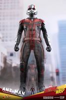 Marvel Ant Man And The Wasp - Ant Man Statue