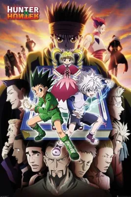 Hunter X Hunter Book Anime Poster