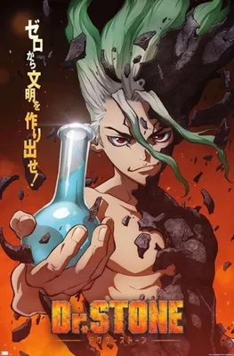 Dr Stone Anime Poster