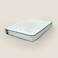 Matelas Sealy Posturepedic® Z⁵™ 1