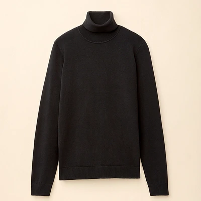 Cotton Turtleneck Sweater