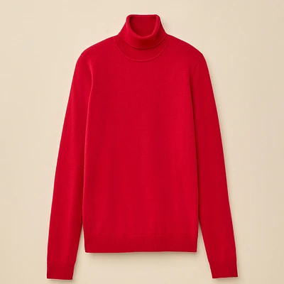 Cotton Turtleneck Sweater