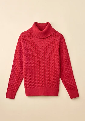 Textured Knit Turtleneck Sweater