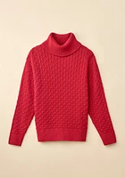 Textured Knit Turtleneck Sweater
