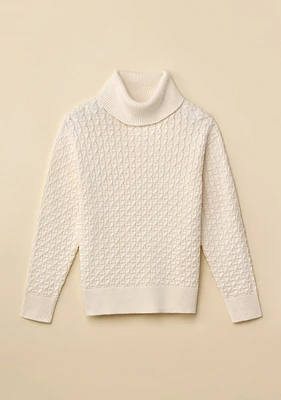 Textured Knit Turtleneck Sweater